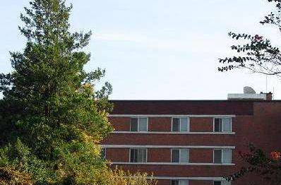 韩国加图立大学是什么档次?