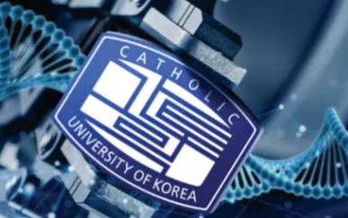 韩国加图立大学简介