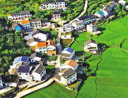 乡村人才振兴培训班设置