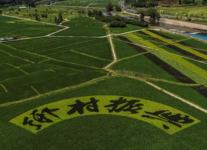 乡村振兴农业人才培训介绍