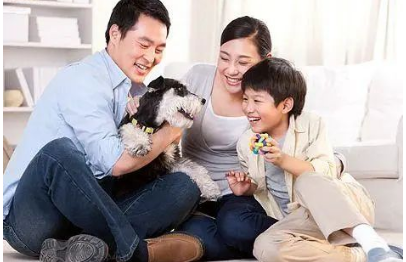 家庭教育指导师考试报考条件介绍