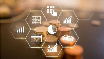 如何减少金融投资的风险？