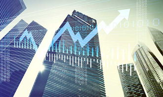 金融学投资管理课程