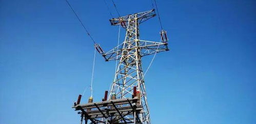 华北电力电气学院招生要求