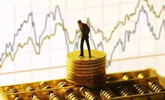 金融风险投资专业课程