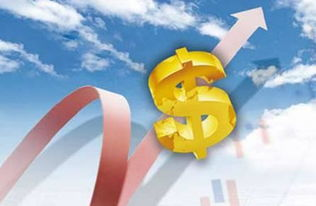 金融投资课程分析总结怎么写