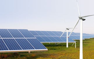 金湖电力培训班