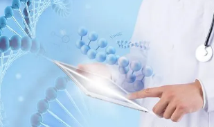 西班牙武康大学医学博士报名条件？