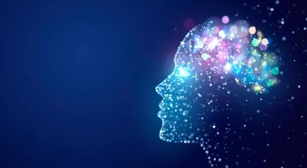 西班牙武康大学心理学博士招生