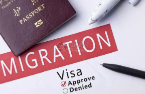 西班牙武康大学怎么申请？