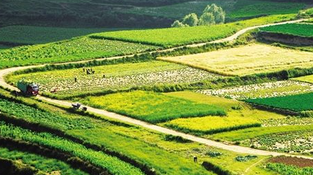 端州市乡村振兴培训班介绍