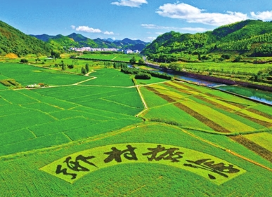 温岭市乡村振兴培训开班介绍