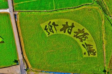 宜兴乡村振兴培训招生介绍