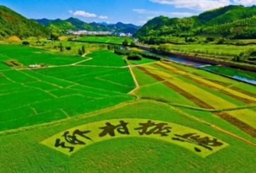 农村党建促乡村振兴培训课程介绍