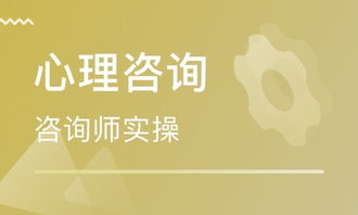 培训心理咨询班师工作内容_培训心理咨询师需要多少钱_二级心理咨询师培训班