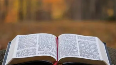 总裁管理培训课程企业认可吗？