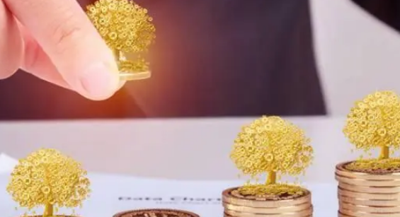 北京大学金融投资培训介绍