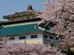 武汉大学总裁培训相关介绍