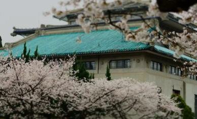 武汉大学周未培训