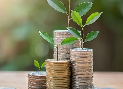 老板需要懂财税吗