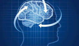 企业管理培训高管课程