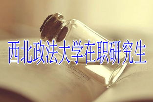 西北政法大学在职研究生调剂条件