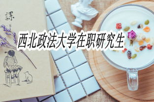 西北政法大学法硕在职研究生课程优势