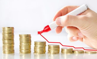 工程老板财务必学财税知识