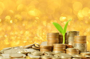 上海金融投资培训机构