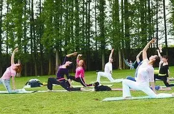 康养旅游产业培训介绍