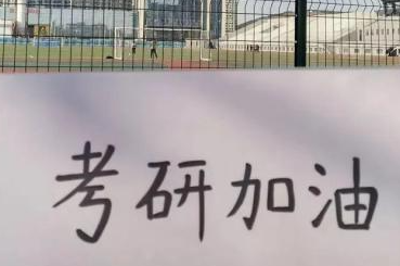 新东方辅导考研英语吗