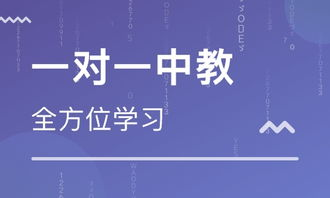 凯特语言中心哪家好