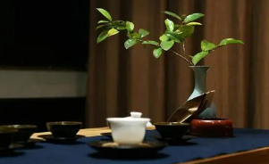 茶道学习培训课程介绍