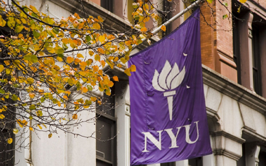 纽约大学艺术学院动画专业介绍