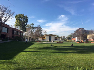 帕森斯设计学院申请要求