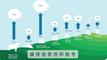 碳排放管理师证书含金量怎么样？