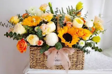 秦汉胡同课程价格多少