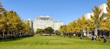 清华大学高级研修班就业前景怎么样？