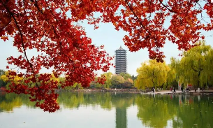 北大总裁班是什么机构?