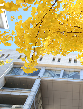 中央财经大学的研修班有哪些?