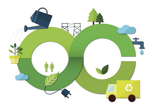 碳排放管理师要求学历吗