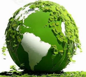 重庆碳排放管理师在哪里考?