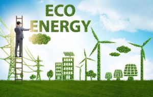 碳排放管理师证书去哪查?