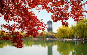 北京大学总裁班是真的假的？