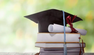 企业管理在职博士招生2023发布