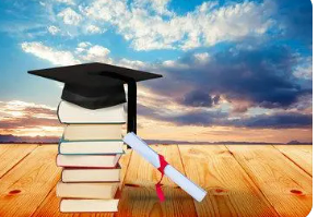 企业管理学博士就业去向