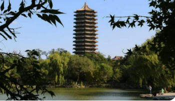 文旅乡村振兴课程内容有哪些?