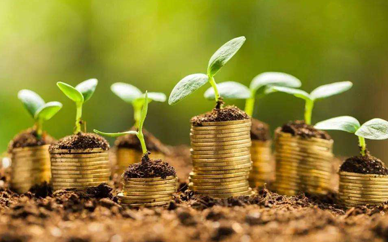 武汉大学财务总监培训介绍