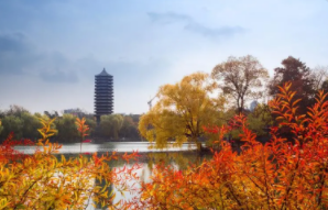 高级研修班就业前景如何?