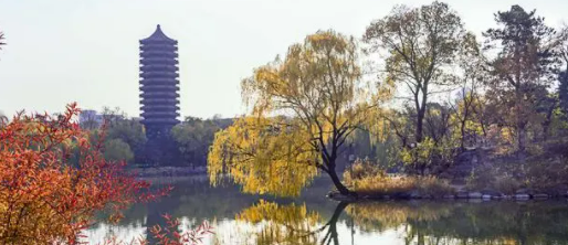 高级研修班认可度怎么样?